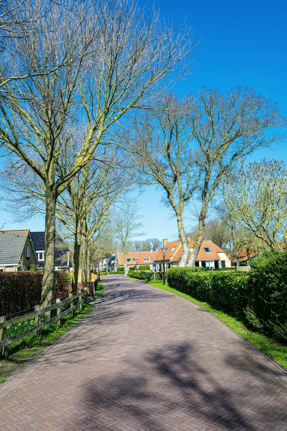 Woonhuizen aan een dorpsstraat